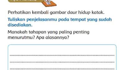 Manakah Tahapan yang Paling Penting Menurutmu Apa Alasannya Daur Hidup Katak