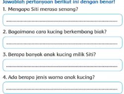 Mengapa Siti Merasa Senang Bagaimana Cara Kucing Berkembang Biak