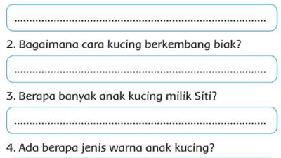 Mengapa Siti Merasa Senang Bagaimana Cara Kucing Berkembang Biak