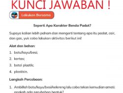Menurut Kalian Apa Perbedaan Antara Batu/Kayu/Besi dengan Kertas/Karton Botol Plastik dan Plastisin