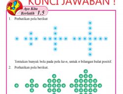 Perhatikan Pola Bilangan Berikut 1/2 1/6 1/12