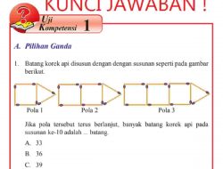 Perhatikan Pola Bilangan Berikut (3, 6) (6, 15) (8, 21) Pernyataan yang Tepat