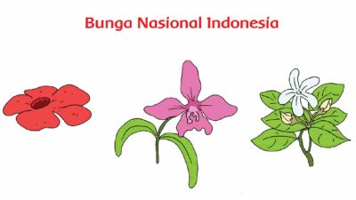 Pilihlah Salah Satu Bunga Lalu Tuliskan Ciri-Ciri Bunga Tersebut