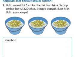 Udin Memiliki 3 Ember Berisi Ikan Hias Setiap Ember Berisi 320 Ekor