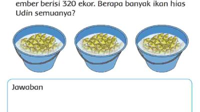 Udin Memiliki 3 Ember Berisi Ikan Hias Setiap Ember Berisi 320 Ekor