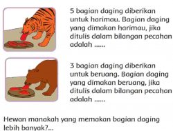 Jawaban 5 Bagian Daging Diberikan Untuk Harimau, Jika Ditulis Dalam Bilangan Pecahan Adalah