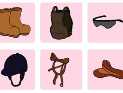 Amatilah Alat dan Bahan Pada Gambar Di Atas Satu Per Satu Nama Benda, Ciri-Ciri Benda Halaman 222