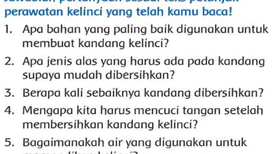 Apa Bahan yang Paling Baik Digunakan Untuk Membuat Kandang Kelinci Jawaban Tema 2 Kelas 3 Halaman 168