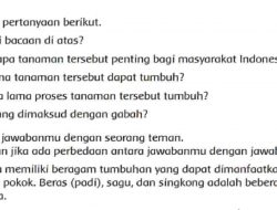 Apa Isi Bacaan Di Atas Tema 3 kelas 4 Halaman 2 Tentang Padi