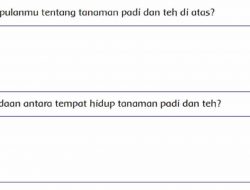 Apa Kesimpulanmu Tentang Tanaman Padi dan Teh Di Atas Jawaban Halaman 32 Tema 3 Kelas 4 SD