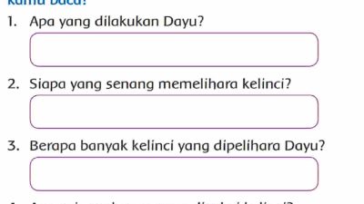 Apa yang Dilakukan Dayu Siapa yang Senang Memelihara Kelinci Kunci Jawaban Tema 2 Kelas 3 Halaman 159