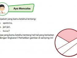Apakah yang Kamu Ketahui Tentang Apotema, Jari-Jari, Busur Matematika Kelas 6