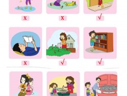 Berikan Tanda Centang (√) Pada Gambar yang Harus Dilakukan Dalam Kehidupan Sehari-Hari Di Rumah