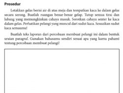 Buatlah Teks Laporan Dari Percobaan Membuat Pelangi Ini Dalam Bentuk Uraian Paragraf Bahasa Indonesia Kelas 9