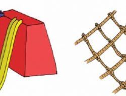 Ceritakanlah Ciri-Ciri Benda Pada Gambar Di Atas Halaman 206 Tema 2 Kelas 2 SD