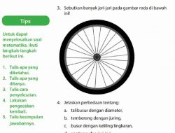 Jelaskan Perbedaan Tentang Talibusur dengan Diameter, Tembereng dengan Juring