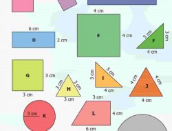 Kunci Jawaban Matematika Kelas 5 Halaman 100 Carilah Bangun yang Sebangun Kerjakan di Buku Tulismu