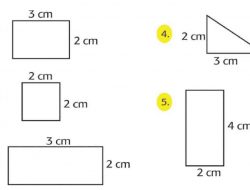 Kunci Jawaban Matematika Kelas 5 Halaman 102 Perbandingan Ukuran Awal Ukuran Baru