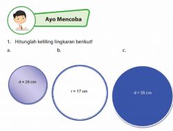 Kunci Jawaban Matematika Kelas 6 Halaman 75 76 77 Ayo Mencoba dengan Caranya