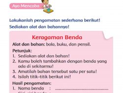 Nama Benda Ciri-Ciri Benda Bola, Buku dan Pensil Halaman 155 Kelas 2 SD