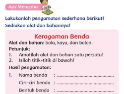 Nama Benda Ciri-Ciri Benda Bola, Kayu dan Balon Pada Keragaman Benda Halaman 213