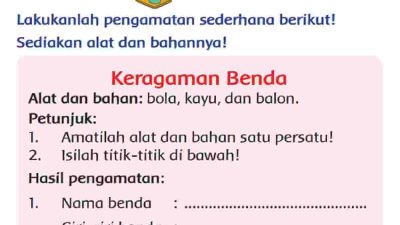 Nama Benda, Ciri-Ciri Benda Bola Kayu dan Balon Pada Keragaman Benda Halaman 213