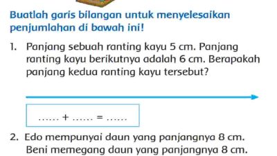 Panjang Sebuah Ranting Kayu 5 cm, Berikutnya Adalah 6 cm Berapakah Panjang Kedua Ranting Tersebut