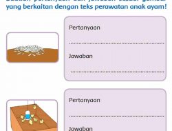 Pertanyaan dan Jawaban Sesuai Gambar Teks Perawatan Anak Ayam Halaman 176 Tema 2 Kelas 3 SD