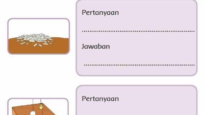 Pertanyaan dan Jawaban Sesuai Gambar Teks Perawatan Anak Ayam Halaman 176 Tema 2 Kelas 3 SD
