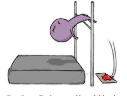 Seorang Atlet Lompat Tinggi Sedang Mengadakan Latihan Dia Mengambil Awalan Lari