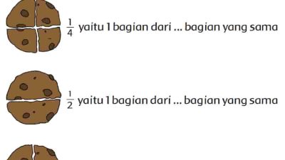 Tuliskan Pecahan Bbiasa Pada Gambar Berikut Ini Halaman 163 Tema 2 Kelas 3 SD MI