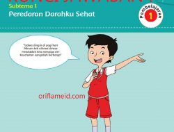 Jawaban Apakah Perbedaan Peranan Pembuluh Nadi dan Pembuluh Balik Tuliskan Hasilnya Pada Tabel Berikut Ini
