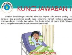 Artikel Tentang Gangguan Pada Organ Peredaran Darah Manusia Tuliskan Nama Gangguan dan Penyebab-penyebabnya