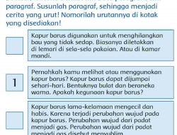 Bacalah Wacana Berikut Ini Baca Paragraf Demi Paragraf Susunlah Paragraf Sehingga Menjadi Cerita yang Urut Halaman 160 161 Kelas 3 SD