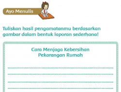 Cara Menjaga Kebersihan Pekarangan Rumah Tema 4 Kelas 2 SD Halaman 45 Tuliskan Hasil Pengamatanmu