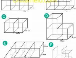 Hitunglah Luas Permukaan Bangun Berikut 9 cm 9 cm 7 cm 7 cm 10 cm 10 cm 12 cm 12 cm