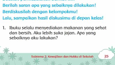 Ibuku Selalau Menyedikan Makanan yang Sehat dan Bersih Aku Lebih Suka Jajan Apa yang Sebaiknya Aku Lakukan