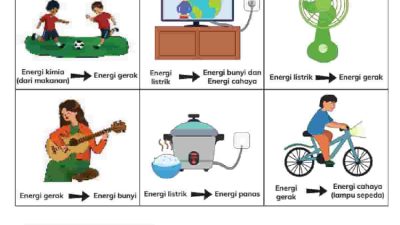 Kunci Jawaban Ilmu Pengetahuan Alam dan Sosial (IPAS) Kelas 4 Halaman 102 Kurikulum Merdeka