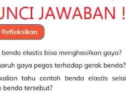 Kunci Jawaban IPAS Kelas 4 Halaman 82 Mengapa Benda Elastis Bisa Menghasilkan Gaya