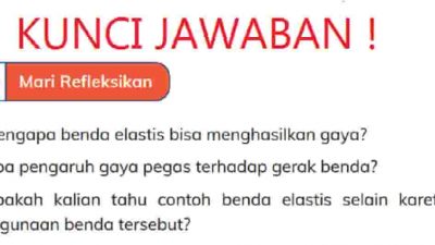 Kunci Jawaban Ilmu Pengetahuan Alam dan Sosial (IPAS) Kelas 4 Halaman 82 Mengapa Benda Elastis Bisa Menghasilkan Gaya
