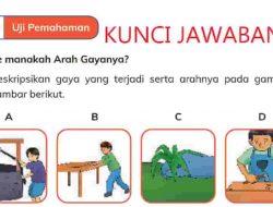 Kunci Jawaban IPAS Kelas 4 Halaman 93 94 Kurikulum Merdeka Belajar