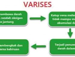 Nah Buatlah Diagram Alur Terhadap Penyakit Lainnya yang Dapat Mengganggu Organ Peredaran Darah Tubuh Manusia