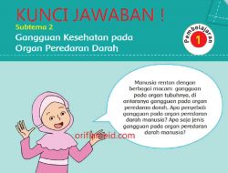 Penyebab Gangguan Kesehatan Pada Organ Peredaran Darah Manusia Kunci Jawaban Tema 4 Kelas 5 Halaman 55