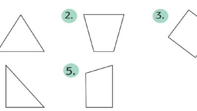 Perhatikan Gambar Dibawah Dengan Teliti Halaman 33 Tema 4 Kelas 2 SD MI