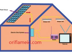 Proses Kerja Sel Surya Tuliskan Secara Runtut Pada Kolom Berikut Kunci Jawaban Tema 4 Kelas 6 Halaman 101
