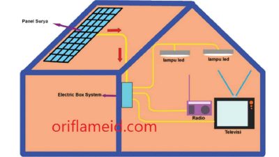 Proses Kerja Sel Surya Tuliskan Secara Runtut Pada Kolom Berikut Kunci Jawaban Tema 4 Kelas 6 Halaman 101