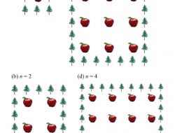 Jawaban Seorang Petani Menanam Pohon Apel dalam Pola Persegi