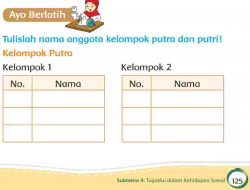 Tulislah Nama Anggota Kelompok Putra dan Putri Jawaban Tema 3 Kelas 2 Halaman 125