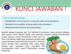 Kunci Jawaban Apa Aliran Energi Pada Sebuah Rantai Makanan Tema 5 Kelas 5 Halaman 61