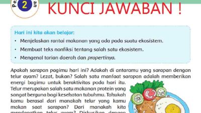 Apa Aliran Energi Pada Sebuah Rantai Makanan Tema 5 Kelas 5 Halaman 61